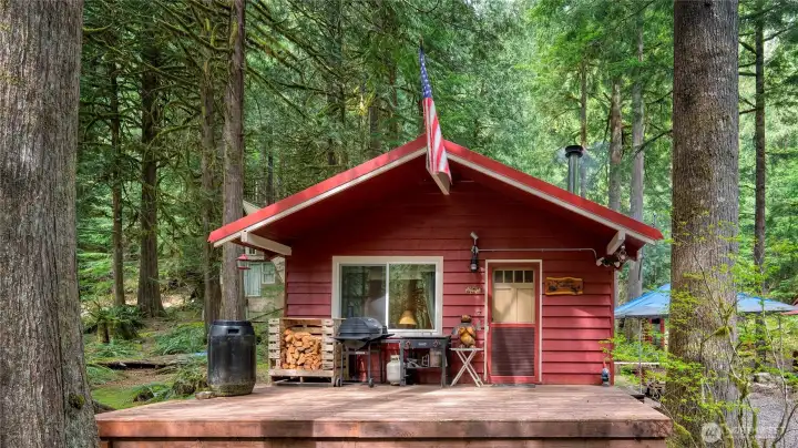 This woodland cabin sits among towering evergreens, soft ferns, and bright trilliums scattered across the forest floor.