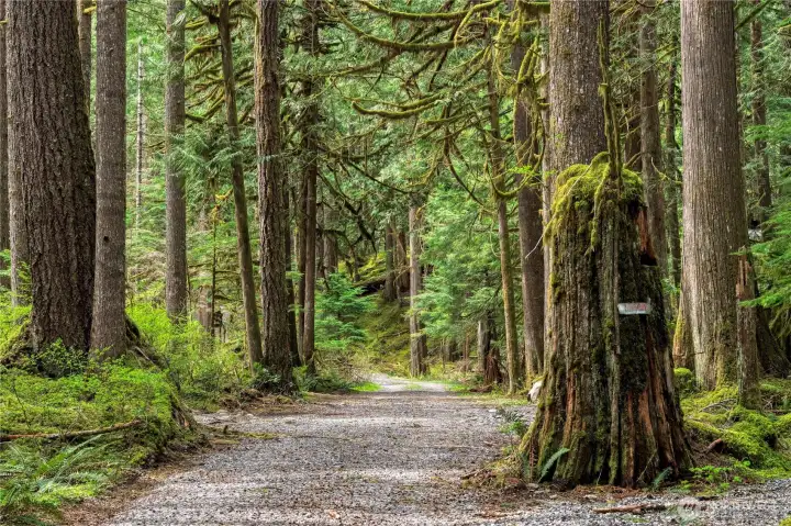 Private, gated community.