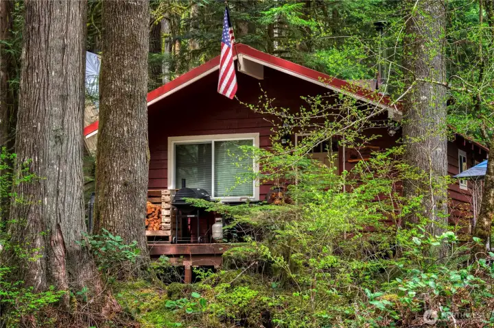 HOME SWEET CABIN ~ where you can reconnect with nature & feed your soul. New roof and vinyl windows.