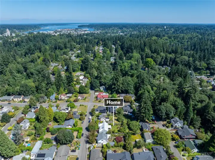 From up above, here you can see the Capitol building and Capitol Lake out to Budd Inlet. Such a desirous neighborhood. From up above, here you can see the Capitol building and Capitol Lake out to Budd Inlet. Such a desirous neighborhood.