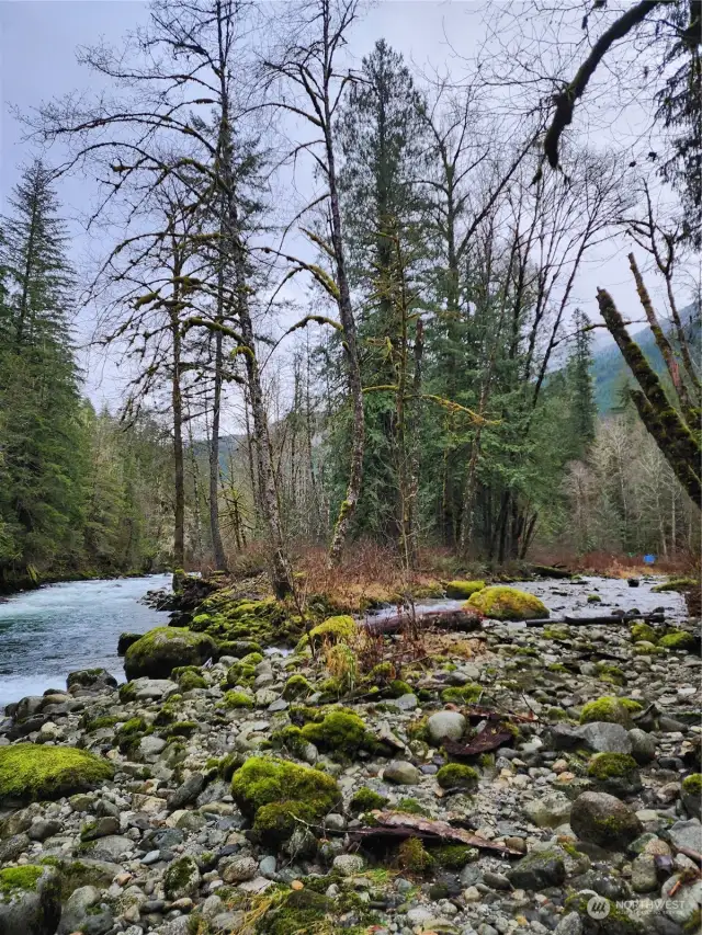 Where creek meets river along side of property