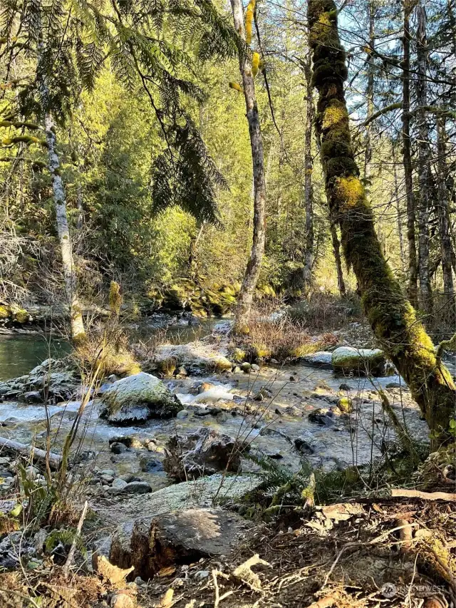 Creek running into river along side property