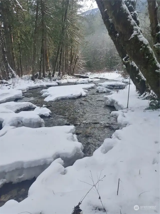 Snowy day along creek side