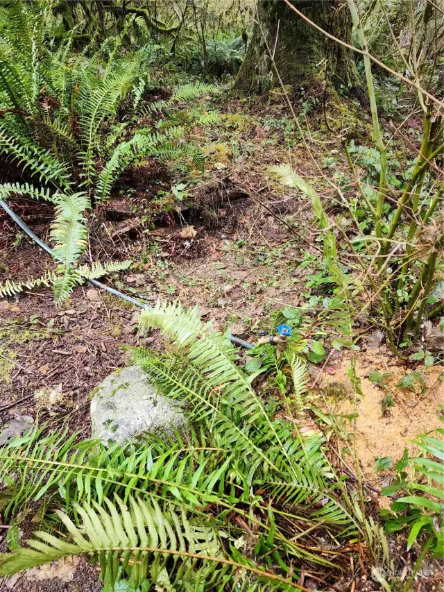 Water availability next to outbuilding