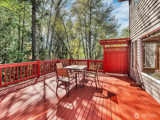 Deck (Main)