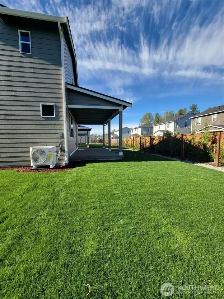 Backyard and Covered Porch