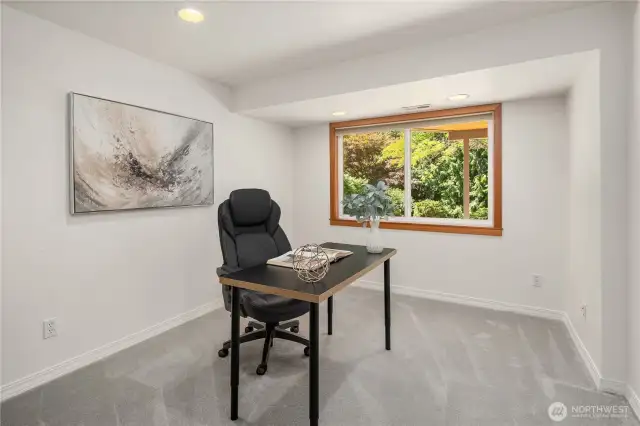Lower level office could be used as a bedroom