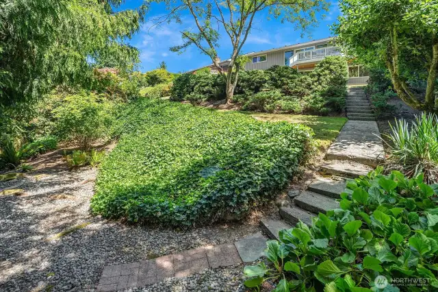 Steps to treed lower back yard