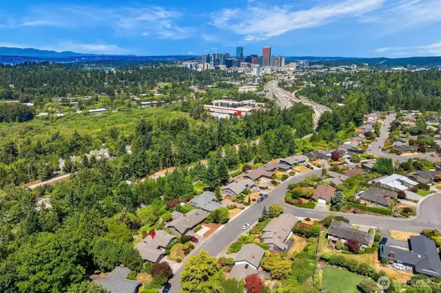 Downtown Bellevue minutes away