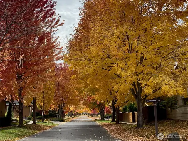 Beautiful in every season!