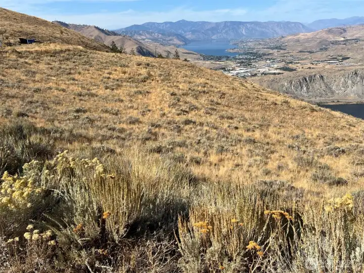 Looking down river to the Cascade Mountains.