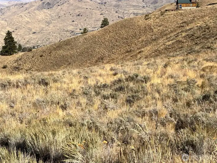 The only thing between you and the dirt, is the grass.