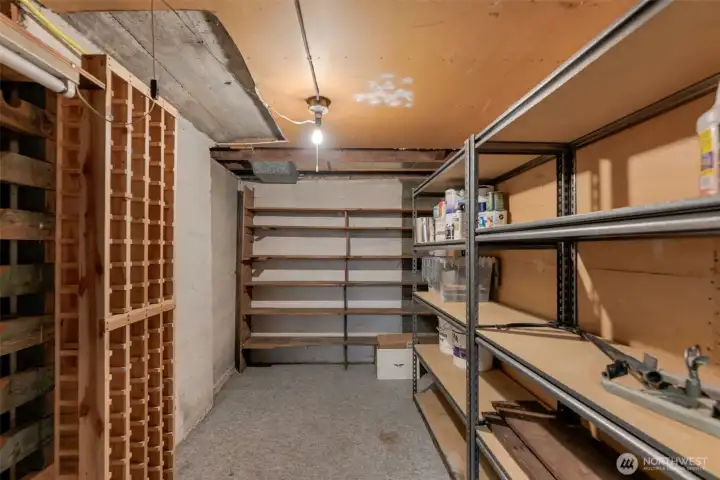 Whatever your hobby or storage needs, this house has you covered on space!