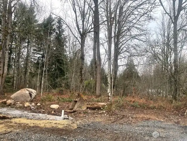 1.61 acres of treed lot with large open building pad. Level lot with room to roam. No HOA.