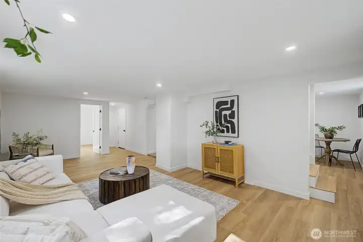 Lower level living area