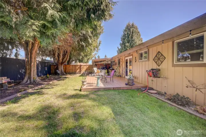 Large fenced backyard with established trees to provide plenty of shade during sunny summer days.