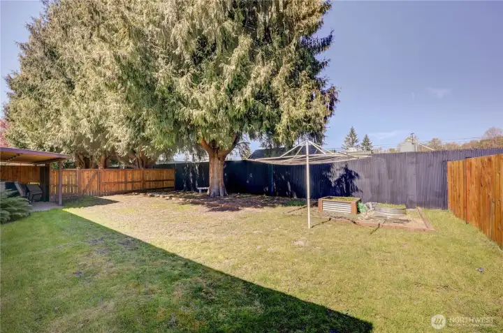 Unit 2021 backyard space