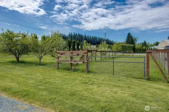 Garden is approximately 2500 sq ft with deer fencing.