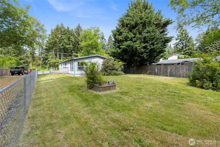 Fenced back yard