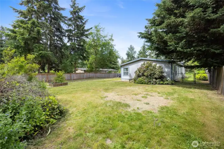 Fenced back yard