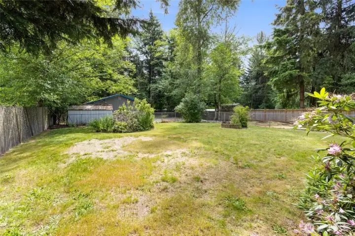 Fenced back yard