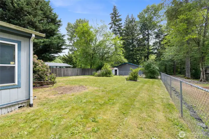 Fenced back yard