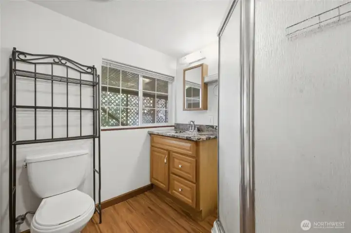 Lower Level 3/4 bath