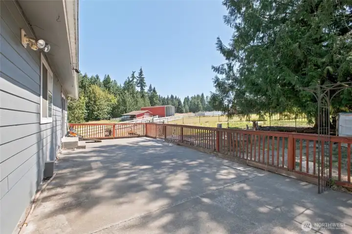 Concrete Patio