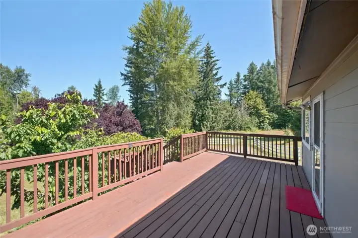 Large Deck