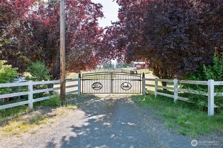Automatic Gate