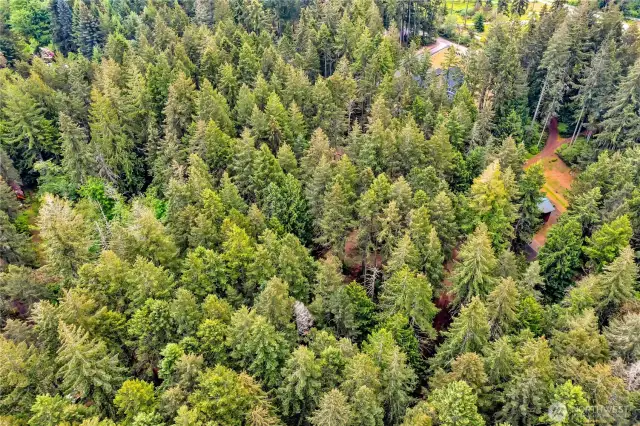 Lot 3 and lot 4 aerial