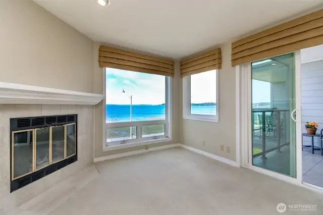 Notice the view and fireplace.
