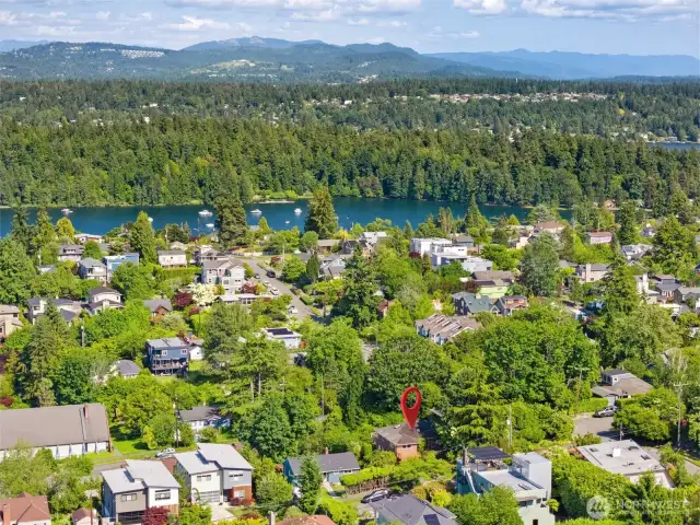 Great Seward Park Location just above the Hydroplane Pits & Lake Washington Action!