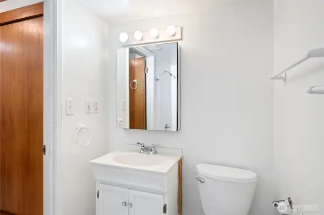 Lower level bathroom