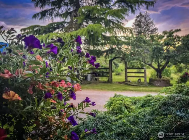 View of the entrance to the garden