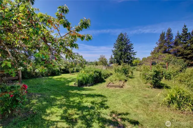 Garden area