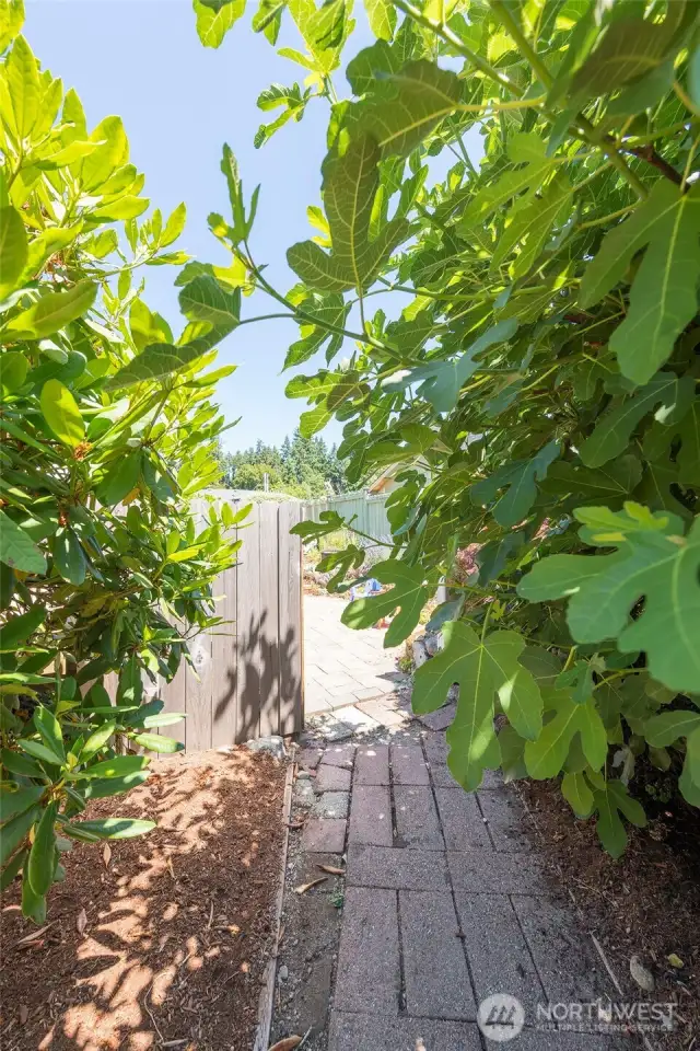 Walking path.