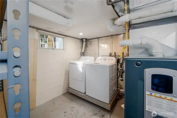 Lets go downstairs!  The stairway lands in the shared utility room.  Hot Water tank, furnace, laundry & storage shelves