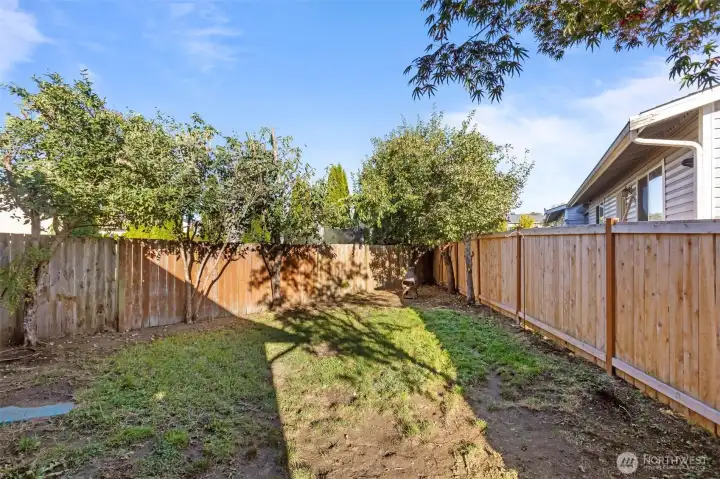 Fully fenced back yard