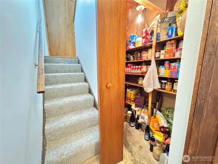 Brand new carpeting in stairwell. Amazing deep storage closet under the stairs.