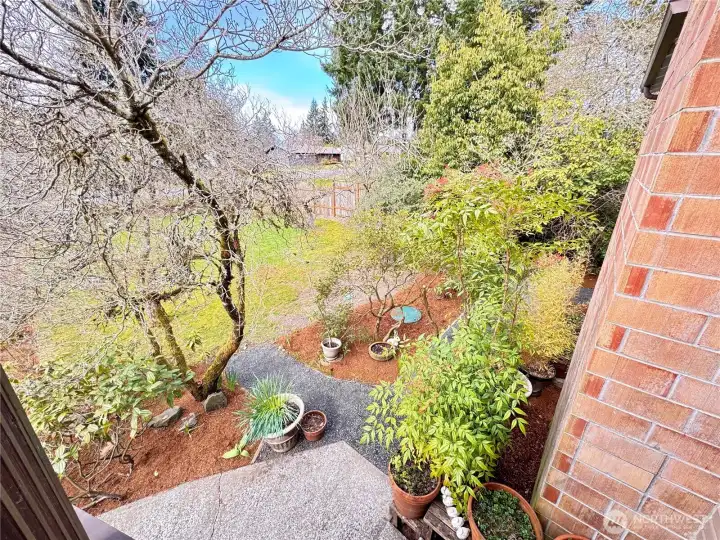 Refreshed landscaping.