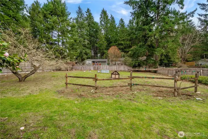 Fruit trees, fig, apple, cherry, plum and pear. 3 types of grapes and thorn less blackberries. Lot's of room for gardening.