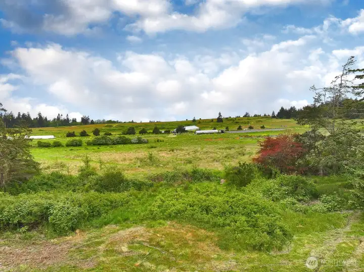 So close to the Farm!