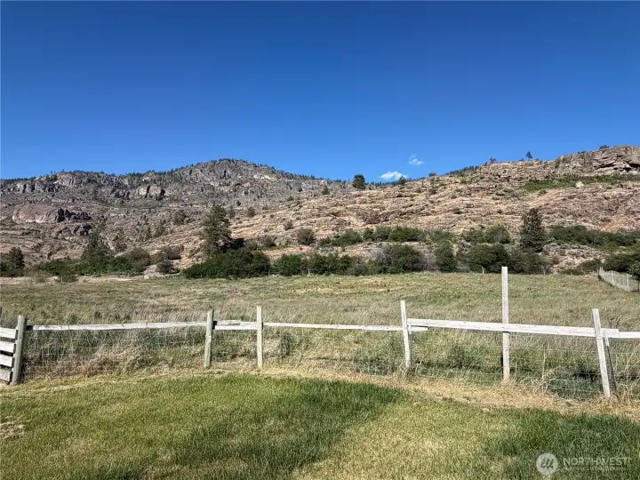 Irrigated pasture.