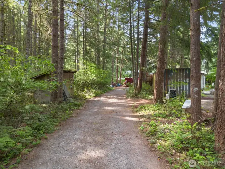 5 flat acres close to town but quiet