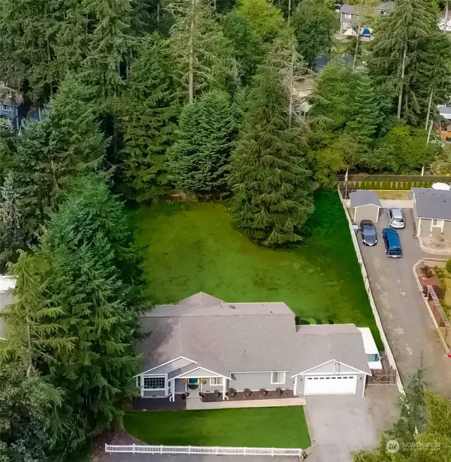 Gorgeous wooded neighborhood