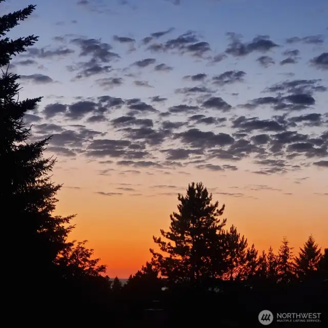 View from the patio