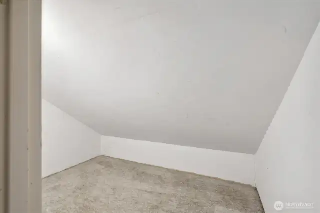 Bonus storage space upstairs