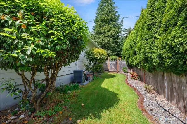 Manicured side yard.