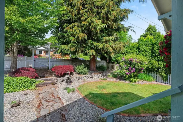 Fully fenced front yard with mature folliage.